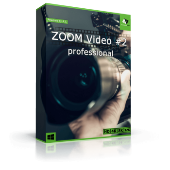 Program ZOOM Video #2 professional